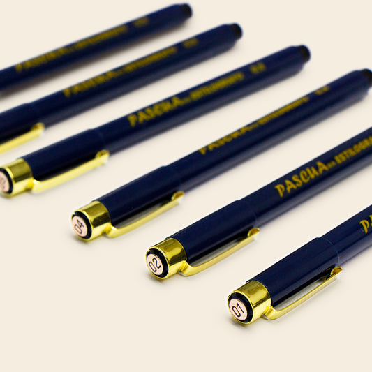 Set de Estilógrafo Profesionales, Medidas 01,02,03,04,05,06 Pascua