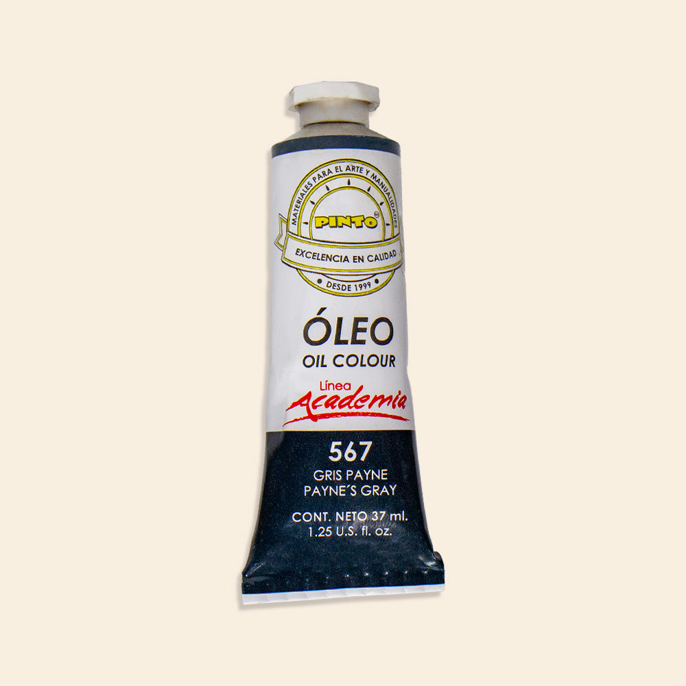 Pintura Oleo Academia Pinto con 37 ml.