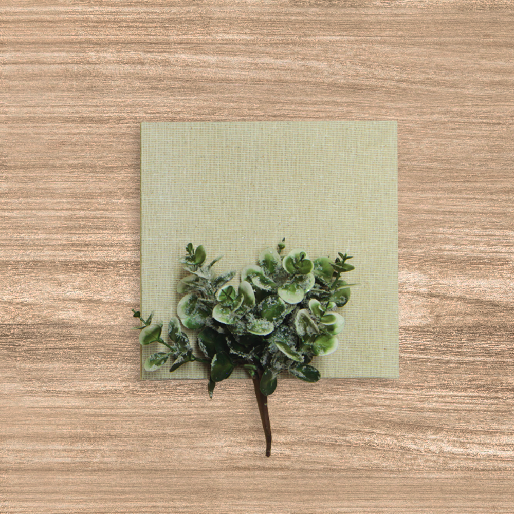 Pieza Pick Dólar Nevado Verde/Blanco